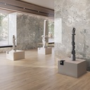 KARNIS GREY 30X60 9MM POLISHED
