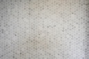CARRARA COINS 30,5X15 10MM