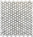 CARRARA COINS 30,5X30,5 7MM HONED