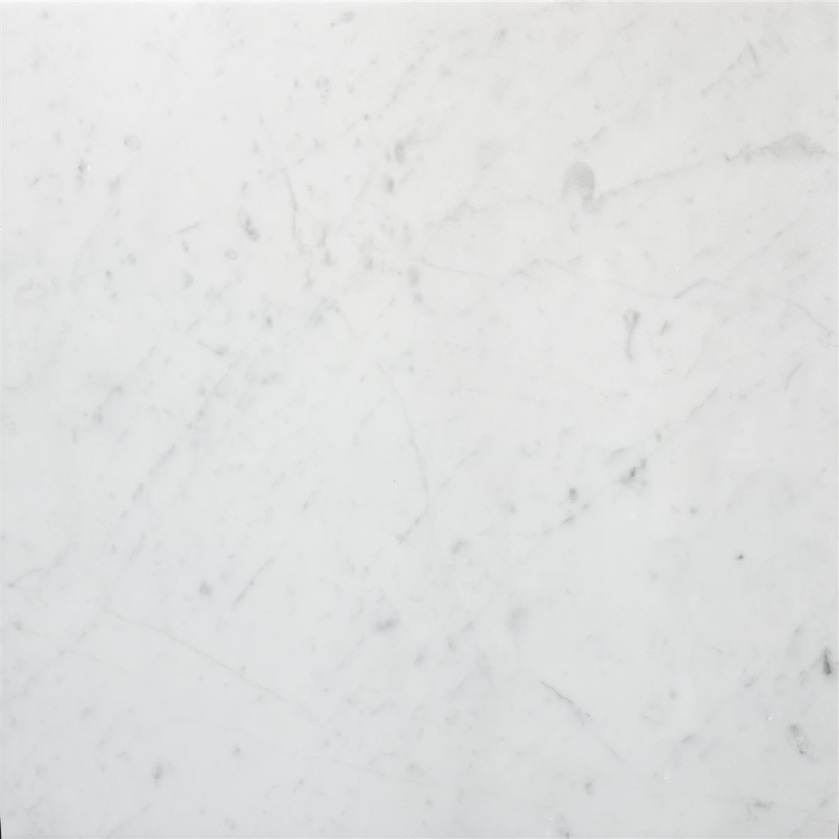 Carrara Marmor silkematt 40x40x1 cm