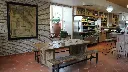 NMS_2682.webp