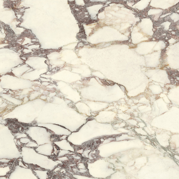 MARMI CLASSICI CALACATTA VIOLA 60X60 8MM LUCIDATO