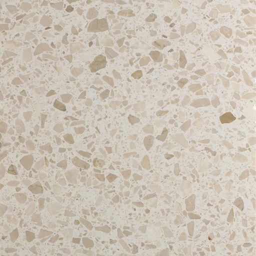 [AGSB607] TERRAZZO SB 177 BOTTICINO 25 60X60 2CM HONED R9