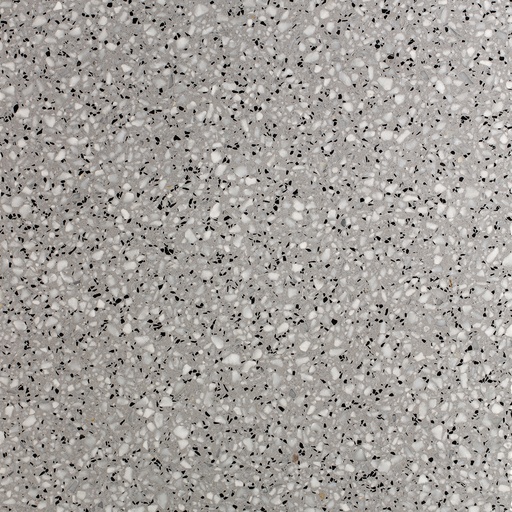 [AGSB611] TERRAZZO SB 119 PEPE GRIGIO 60X60 2CM HONED R9