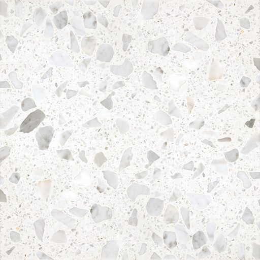 [AGSB626] TERRAZZO SB 250 LIDO 60X60 2CM HONED R9