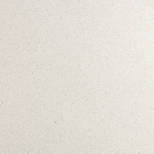 [AGSB627] TERRAZZO SB 138 GHIACCIO 60X60 2CM HONED R9