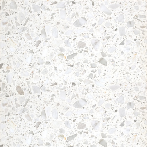 [AGSB403] TERRAZZO SB 143 BIANCO CARRARA 25 40X40 2CM HONED R9