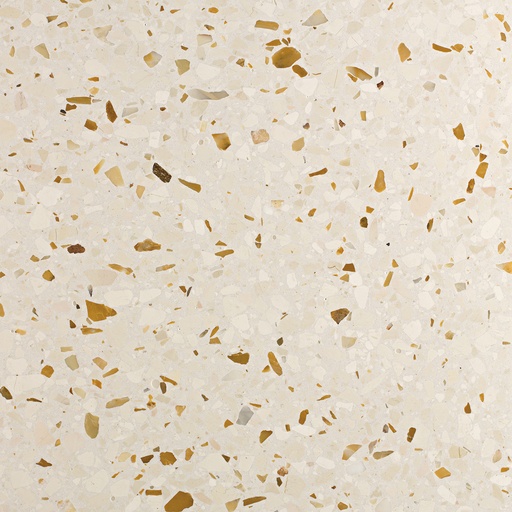 [AGSB439] TERRAZZO SB 140 CÁ D’ORO 40X40 2CM HONED R9