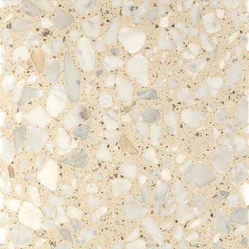 [AGSB455] TERRAZZO SB 230 PELLESTRINA 40X40 2CM HONED R9